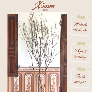 Nhánh cây khô decor trang trí, cành cây khô nhiều nhánh, cây mai đào giả trang trí tết