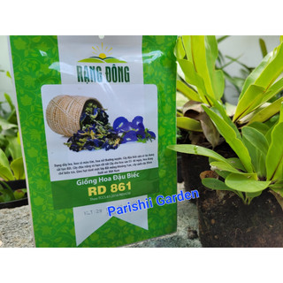 Hạt giống hoa đậu biếc rd 861