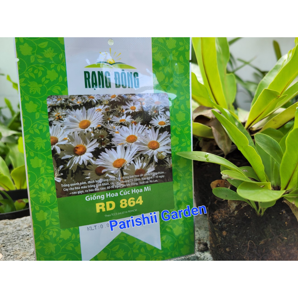 Hạt giống Cúc họa mi Rd 864 (0.03g)