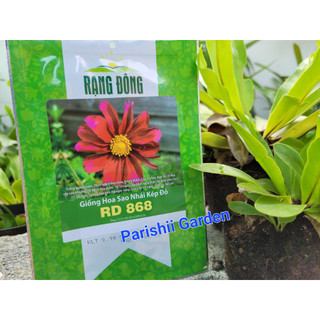 Hạt giống sao nhái kép đỏ rd 868
