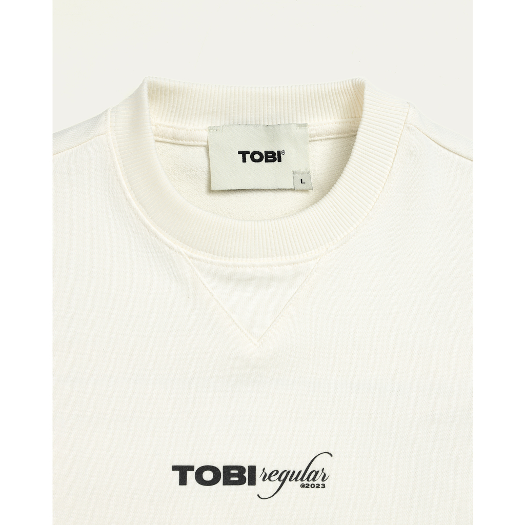 Áo Sweater Chui Đầu Boxy TOBI