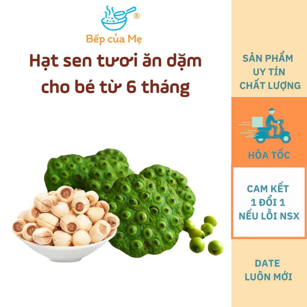 Hạt sen tươi đã bóc nhụy và vỏ nấu ăn dặm cho bé từ 6 tháng, gói 20g, Shop Bếp Của Mẹ