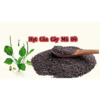 Hạt Giống Cây Mã Đề ( Hay Còn Gọi là Cây Xa Tiền Tử)
