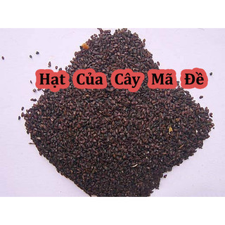 Hạt Giống Cây Mã Đề ( Hay Còn Gọi là Cây Xa Tiền Tử)
