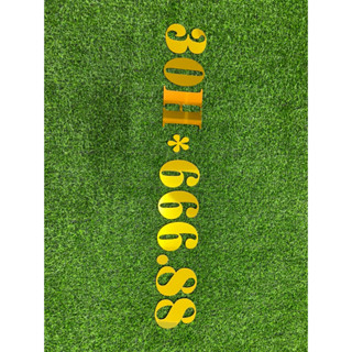 Biển Số Nổi Alu vàng gương cao 12 cm Dán Xe Tải,Trang Trí Xe Tải,Biển Số Dán Thùng Xe chiều dài chữ tổng thể 85 cm