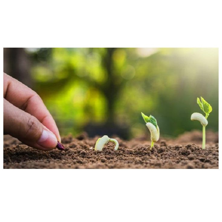 Sách - Gieo trồng hạnh phúc