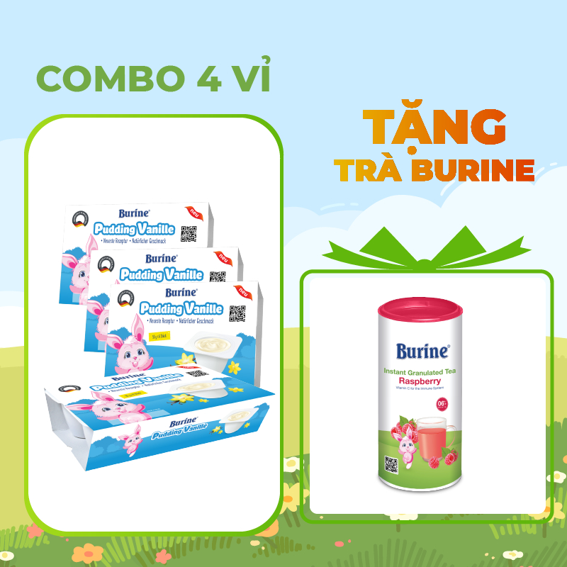 Combo 4 vỉ Pudding ăn dặm Burine dành cho bé từ 6 tháng tuổi - Nhập khẩu 100% từ Đức (6 hũ x 50g x 4 vỉ)