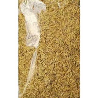 1 kg vỏ trấu sống, giá thể trồng lan, hoa hồng, rau, cây cảnh