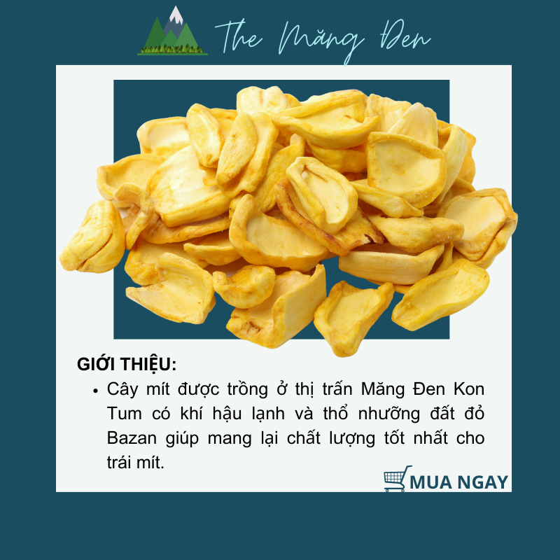 Mít Sấy Giòn Không Đường The Măng Đen 250g Đặc Sản Măng Đen Kon Tum