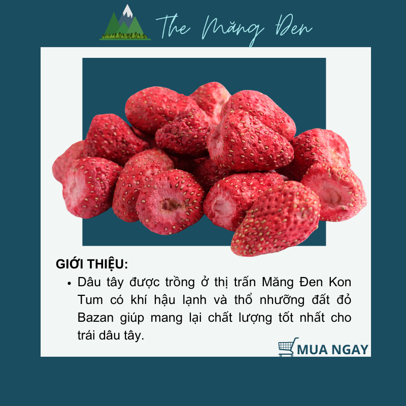 Dâu Tây Sấy Giòn Không Đường The Măng Đen 250g Đặc Sản Măng Đen Kon Tum