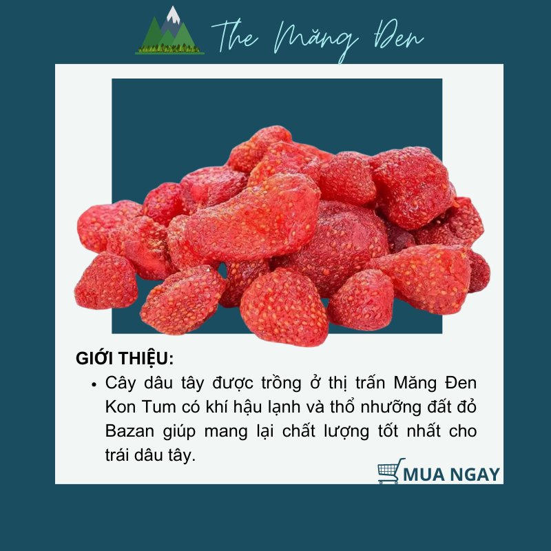 Dâu Tây Sấy Dẻo Không Đường The Măng Đen 250g Đặc Sản Măng Đen Kon Tum