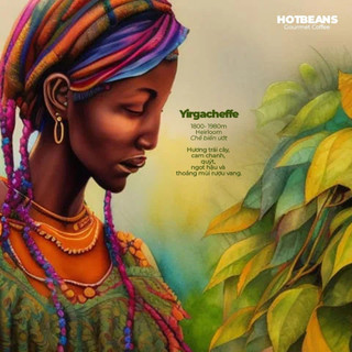 Ethiopia: Yirgacheffe- Cà phê Ưu Việt