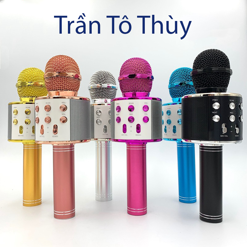 Míc kèm loa hát karaok W858 kết nối nhanh chóng,âm thanh sống động-trantothuy