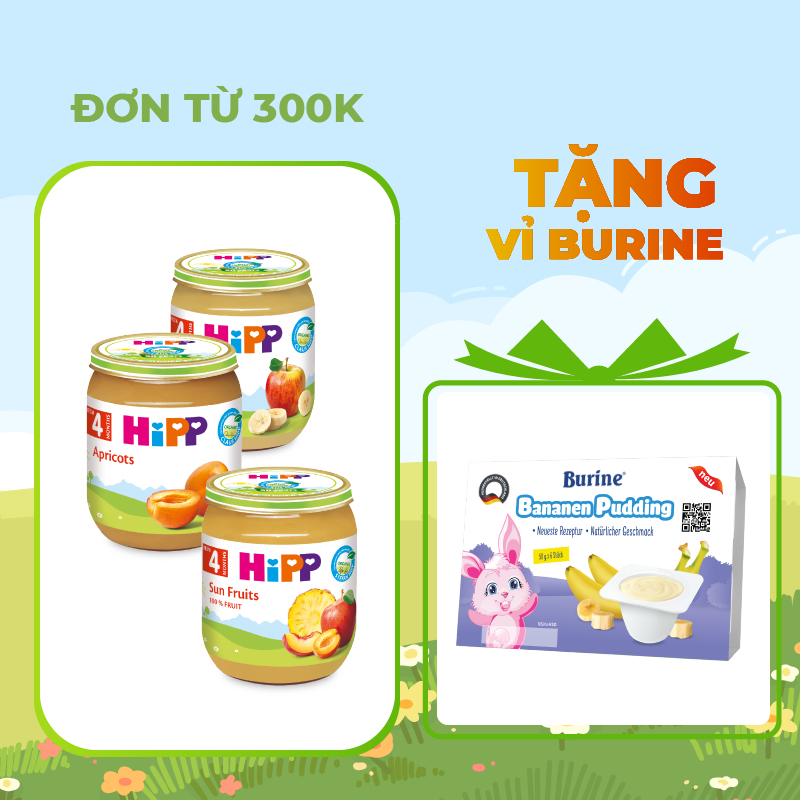 Dinh dưỡng đóng lọ trái cây ăn dặm Organic HiPP (Burine) dành cho bé từ 4 tháng tuổi