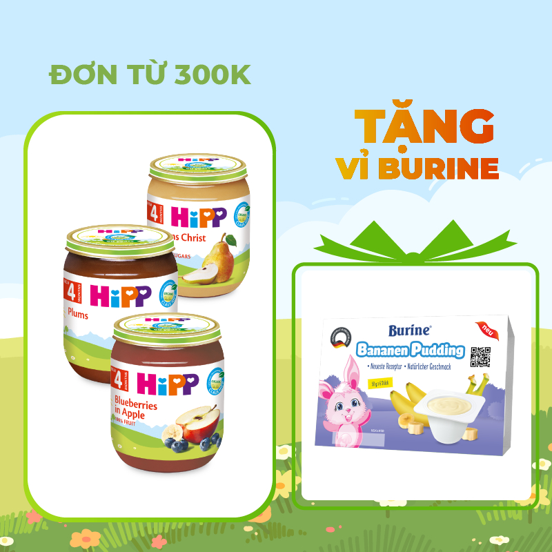 Dinh dưỡng đóng lọ trái cây ăn dặm Organic HiPP (Burine) hỗ trợ tiêu hoá cho bé - Nhập khẩu châu Âu