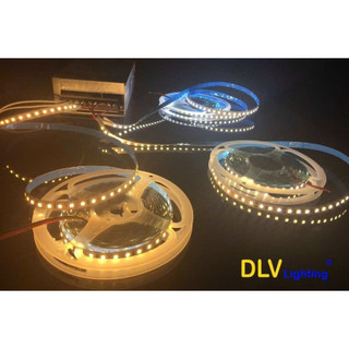 Cuộn led dây dán 12v 2835 - 120 led / mét có keo 2 mặt ánh sáng trắng, vàng ấm
