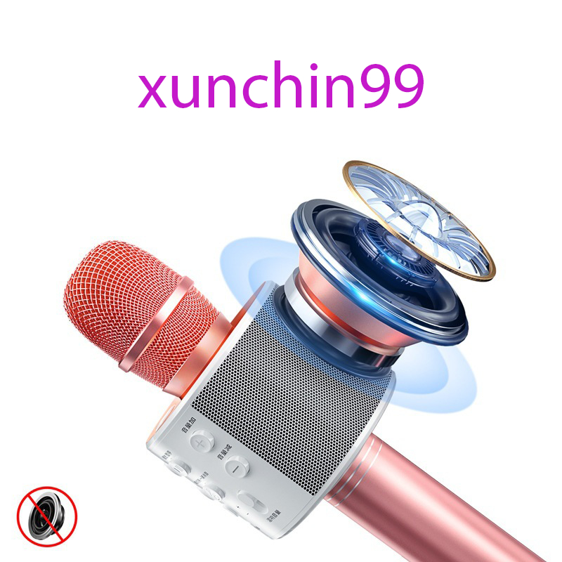 Mic Karaoke Ws-858, Micro Bluetooth Không Dây Kèm Loa, Vừa Nghe Nhạc Vừa Hát Karaoke-xunchin99