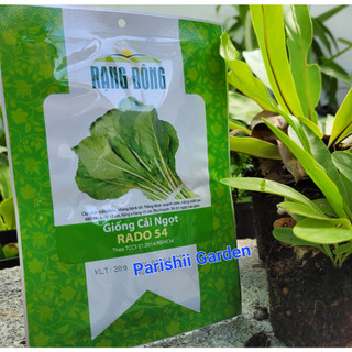 Hạt giống cải ngọt rado 54