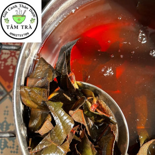 Tỳ Bà Diệp - Lá Tỳ Bà