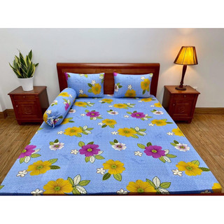 BỘ GA THUN HÀN QUỐC NỆM 15-25cm 4Món