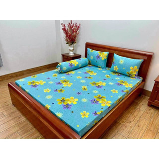 BỘ GA THUN HÀN QUỐC NỆM 15-25cm 4Món