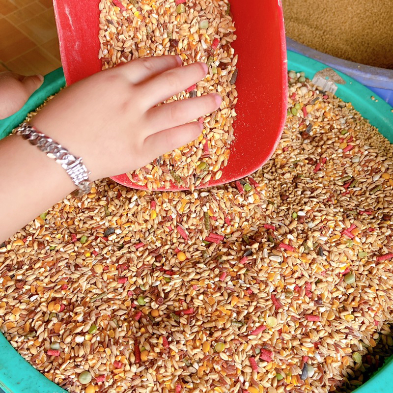 Ngũ cốc gà đá gà chọi giá rẻ, thức ăn chiến kê túi 1kg giúp tăng bo nhanh dùng cho gà nòi gà che gà chọi