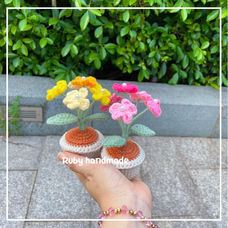 Chậu hoa lưu ly len nhiều màu làm quà tặng trang trí bàn học bàn làm việc