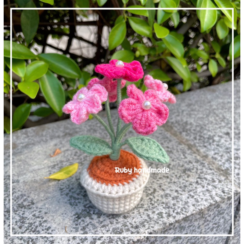 Chậu hoa lưu ly len nhiều màu làm quà tặng trang trí bàn học bàn làm việc