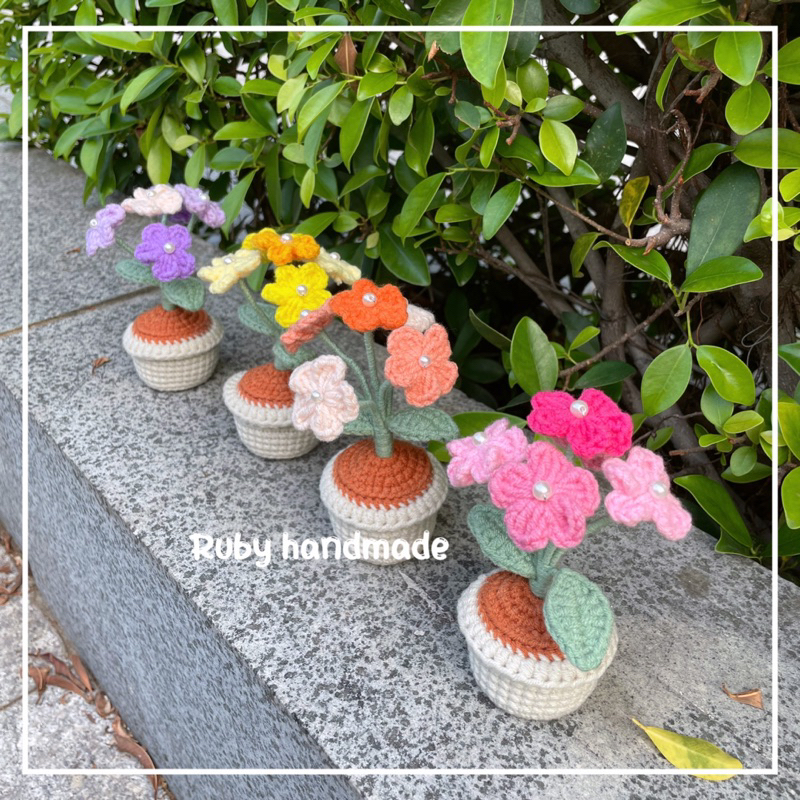 Chậu hoa lưu ly len nhiều màu làm quà tặng trang trí bàn học bàn làm việc