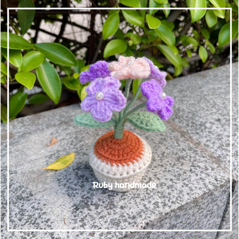 Chậu hoa lưu ly len nhiều màu làm quà tặng trang trí bàn học bàn làm việc