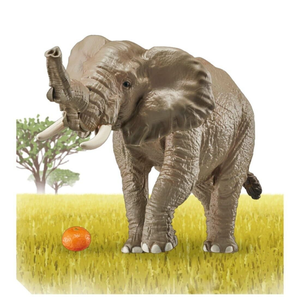 Đồ chơi mô hình ANIA AS - 02 African Elephant (w/orange) animal Action Figure