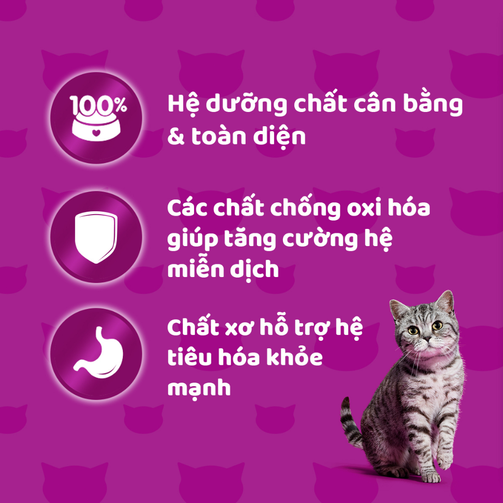 [Quà tặng không bán] WHISKAS Tasty Mix Thức ăn cho mèo trưởng thành dạng sốt  túi 70g vị Gà, Cá ngừ và Carrot