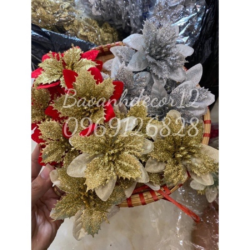 Hoa trạng nguyên kim tuyến bé