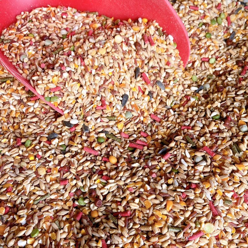 Ngũ cốc gà đá gà chọi giá rẻ, thức ăn chiến kê túi 1kg giúp tăng bo nhanh dùng cho gà nòi gà che gà chọi