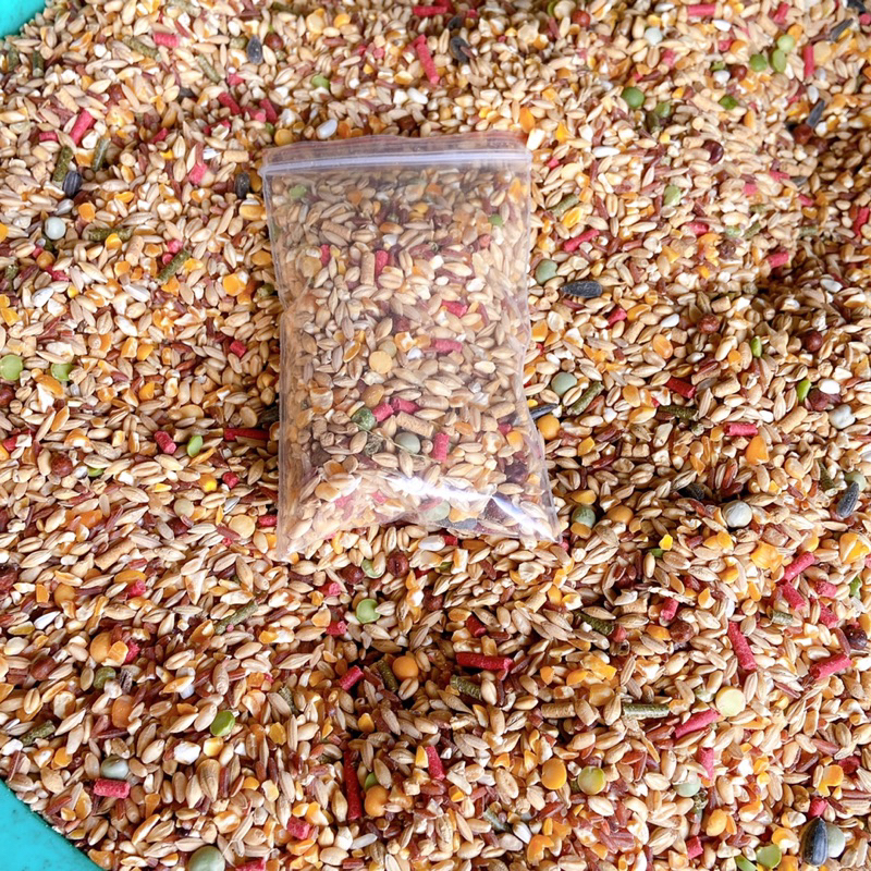 Ngũ cốc gà đá gà chọi giá rẻ, thức ăn chiến kê túi 1kg giúp tăng bo nhanh dùng cho gà nòi gà che gà chọi