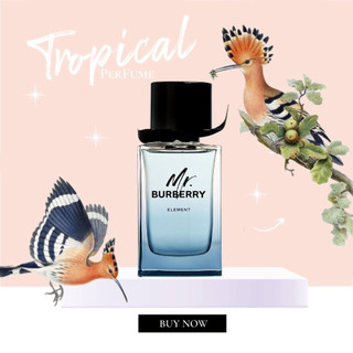 Nước hoa Burberry Mr. Burberry Element 5ml/10ml/20ml