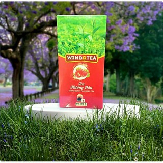 Trà Dâu Túi Lọc WINDOTEA (50 túi lọc × 2g)