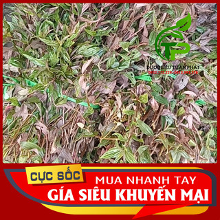 Cây Thuốc Dòi Tía tươi (Cây Thuốc Dòi Tím / Cây Bọ Mắm) tươi 1kg