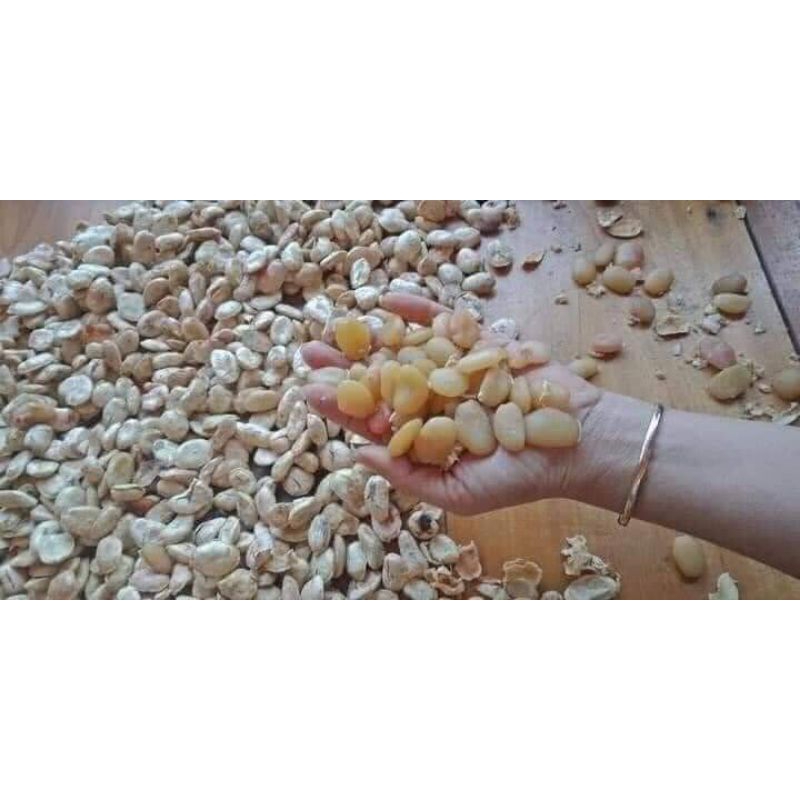 Liệu trình 10 hạt sang đã cạo vỏ thái lát