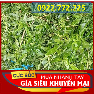 Cây Cỏ Mực (Cây Nhọ Nồi) tươi 1kg