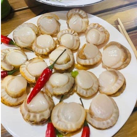 (Giá Sỉ) Cồi Điệp Hấp size 40-60 cồi