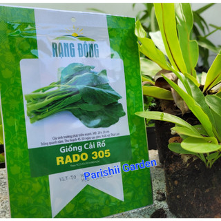 Hạt giống cải rổ rado 305