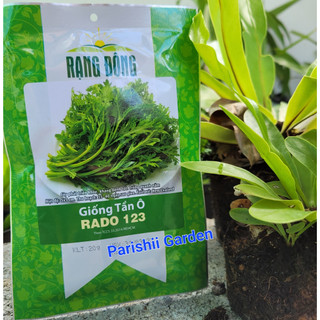Hạt giống cải cúc tần ô rado 123