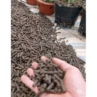 phân trùn quế 1kg