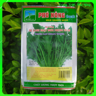 Hạt Giống Cải Bẹ Xanh Ngọt Đuôi Phụng PN-28 Phú Nông - Gói 20g - Serrate Leaf Chinese Tsoisim