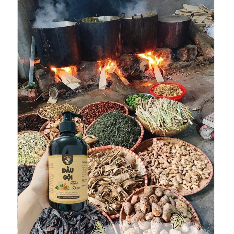 DẦU GỘI THẢO DƯỢC • MAMY GOLD