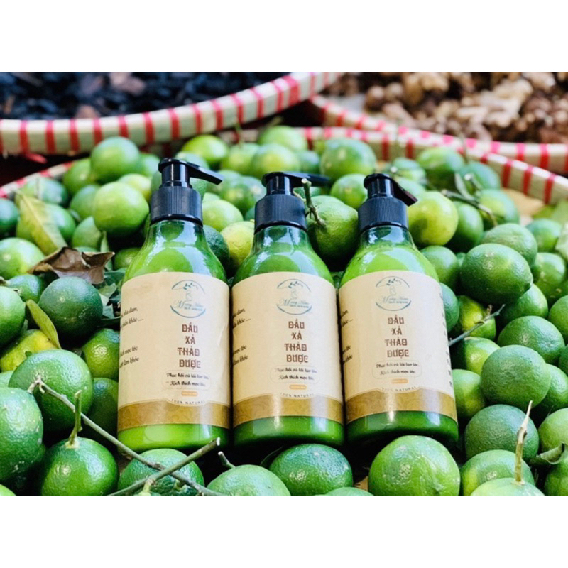 SET DẦU GỘI VÀ DẦU XẢ THẢO DƯỢC • MAMY GOLD