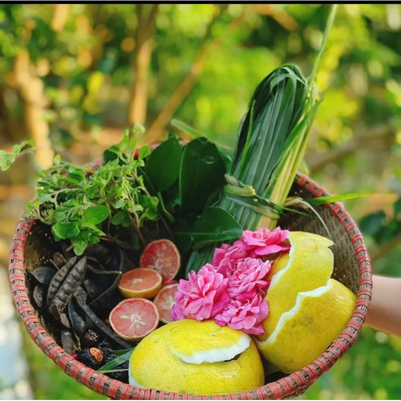 SET DẦU GỘI VÀ DẦU XẢ THẢO DƯỢC • MAMY GOLD