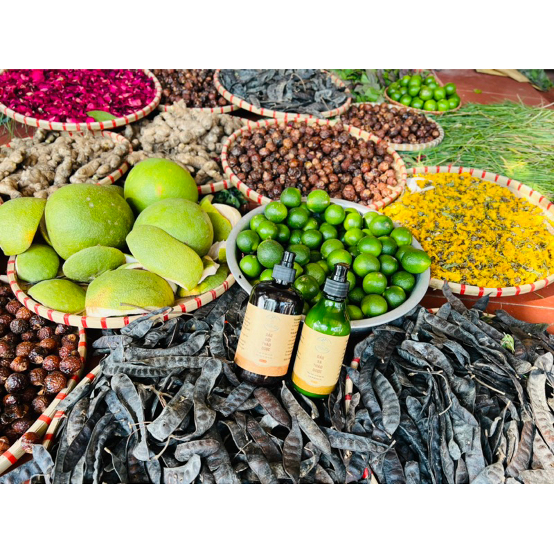 SET DẦU GỘI VÀ DẦU XẢ THẢO DƯỢC • MAMY GOLD