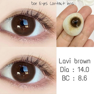 Lens Lavi brown lens